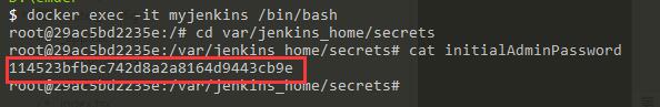 Jenkins进入容器内部查看文件